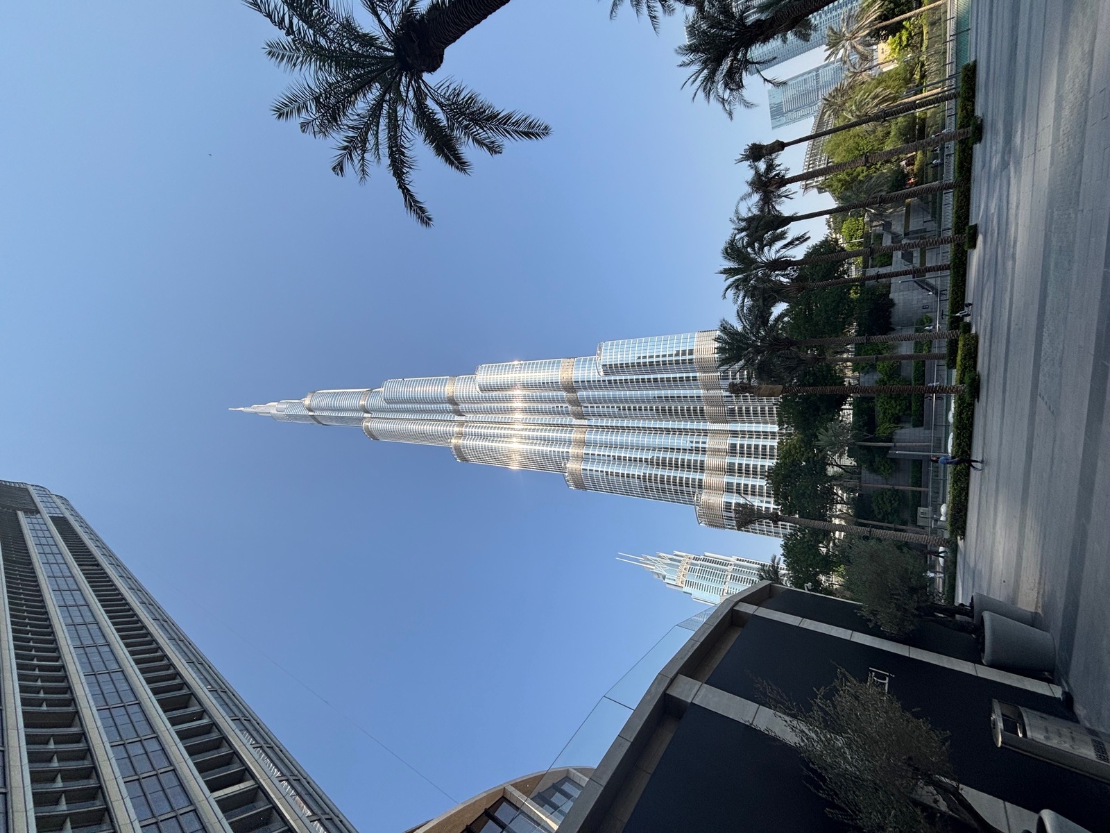 11月に入りました